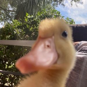 Meet your Posher, Kaleigh